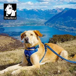 Arnés reflectante ajustable con conjunto collar y correa para perro