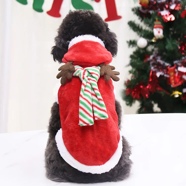 Un perro negro con un atuendo de Navidad rojo y verde