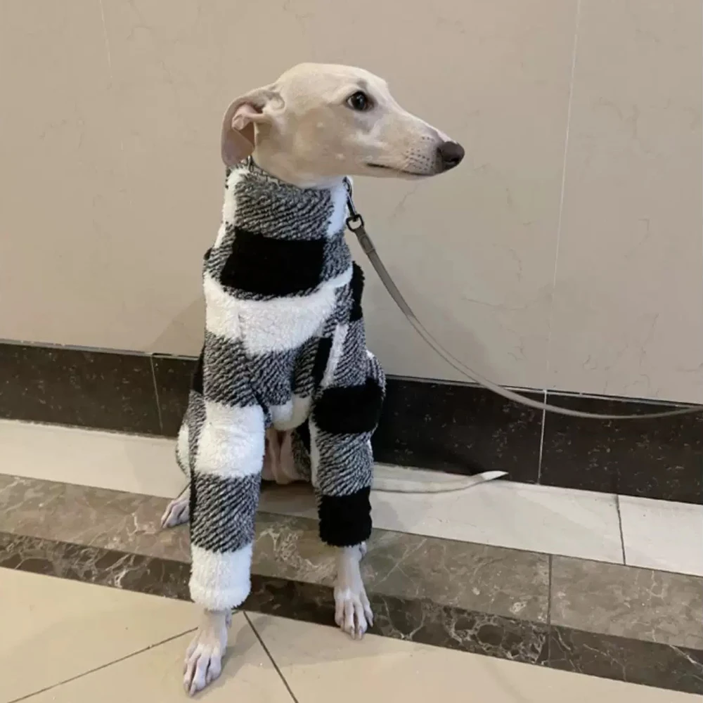 Monos de invierno para galgo italiano en patrón de cuadros blanco y negro, ropa cálida de cuello alto para Whippet, maltés sin pelo mexicano - imagen 3