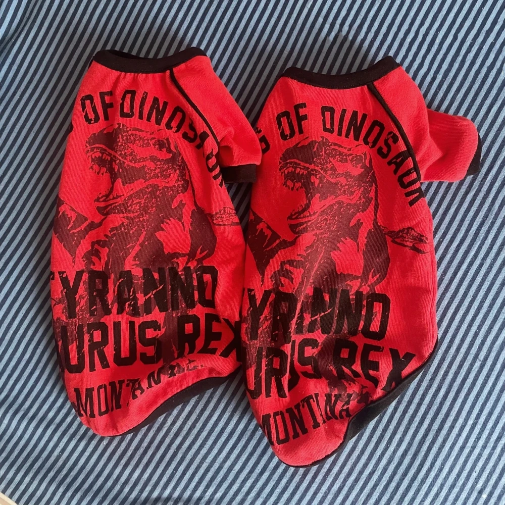 Abrigo de algodón con alfabeto azul para gato masculino en otoño, sudadera de manga larga con dibujos animados para gato Sphynx, camiseta de primavera para perros Devon