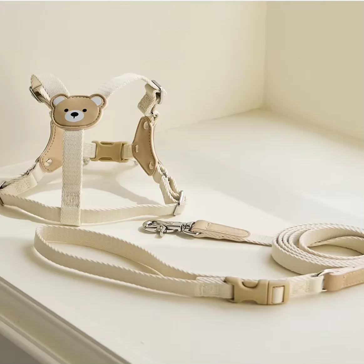 harness leash set