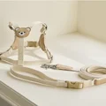 harness leash set