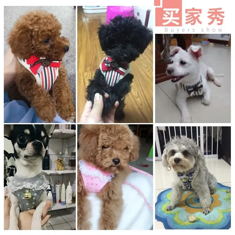 Arnés ajustable para cachorros y gatos, conjunto de correa, chaleco para el pecho para mascotas, cuerda de tracción para perros pequeños, cuerda para correr al aire libre para animales - imagen 3
