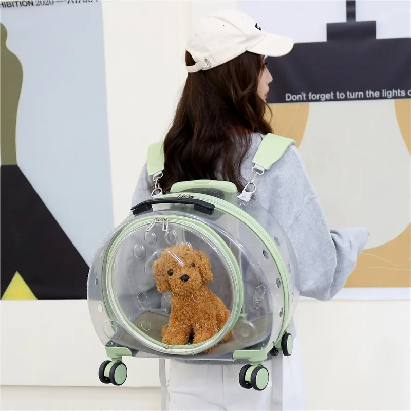 Bolsas transportadoras de gatos de viaje transparentes, mochila de diseño con ruedas, cochecito de hombro para gatos, bolsas transportadoras para perros al aire libre, suministros - imagen 4