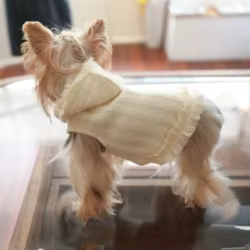 Sudadera con capucha para gatos y perros pequeños de otoño/invierno