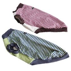 Chaleco reflectante ligero para Galgo Italiano – verano
