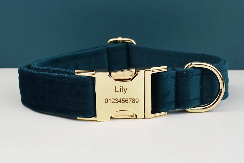 Placa de identificación personalizada para perros