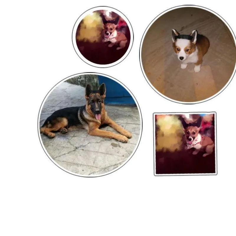 Parche para la oreja de corrección de perro para entrenamiento de pastor alemán, ortopédicos, orejas de perro, caballo, mascotas, accesorios para perros, productos de cuidado, pegatinas para las orejas - imagen 4