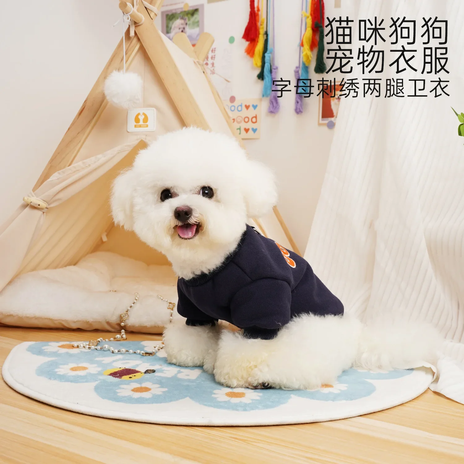 Sudadera con capucha de terciopelo para perro, ropa de terciopelo grueso para otoño e invierno, oso de peluche, ropa de diseñador para perro pequeño - imagen 2