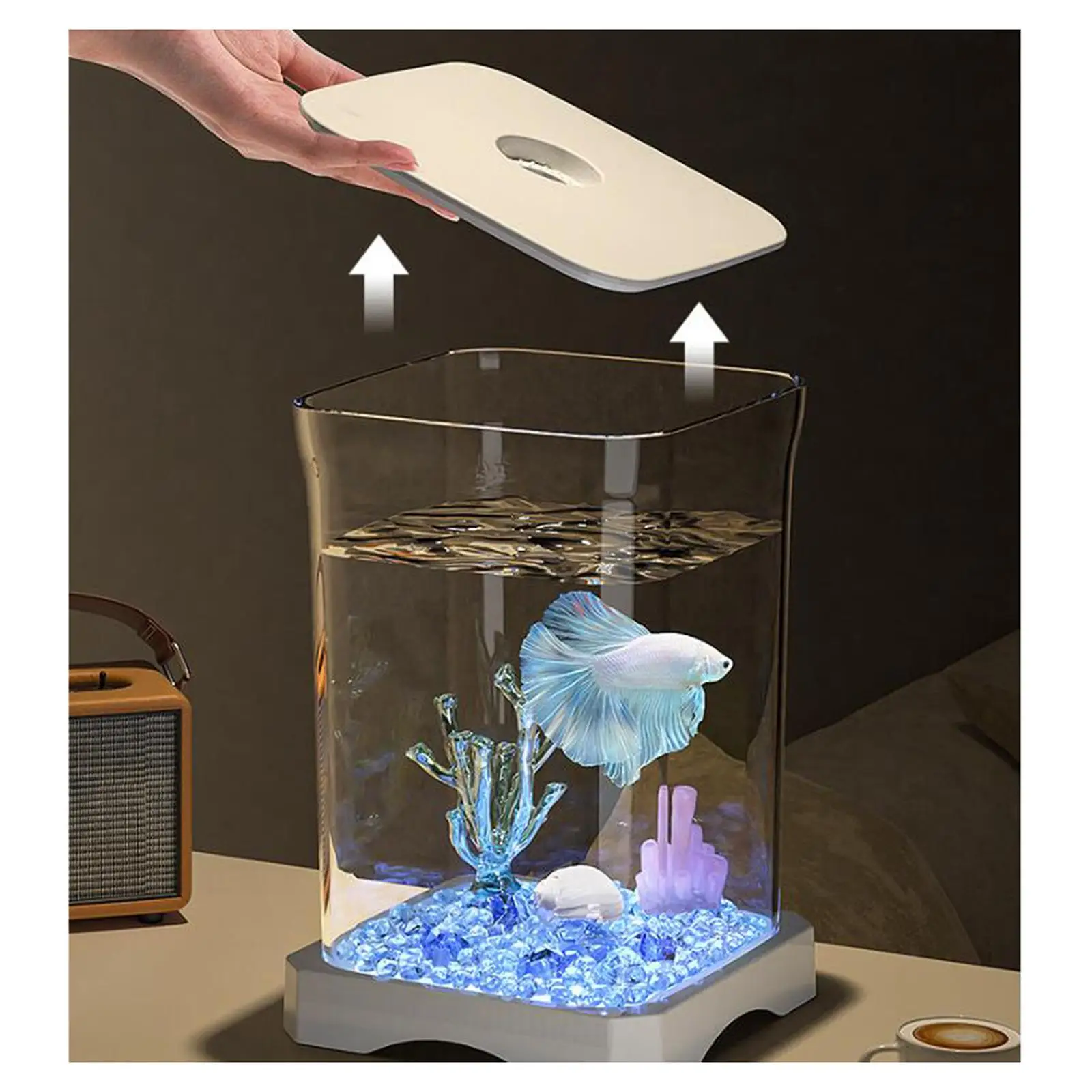 1 pieza Betta pecera transparente pequeña caja de acuario de escritorio Mini tanque de cría de peces para decoración del hogar y la sala de estar - imagen 3