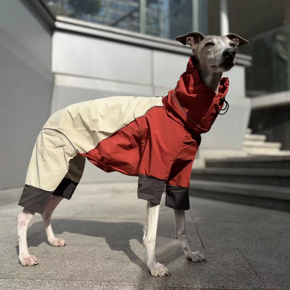 Chaqueta impermeable para perros Whippet con franjas reflectantes - imagen 3