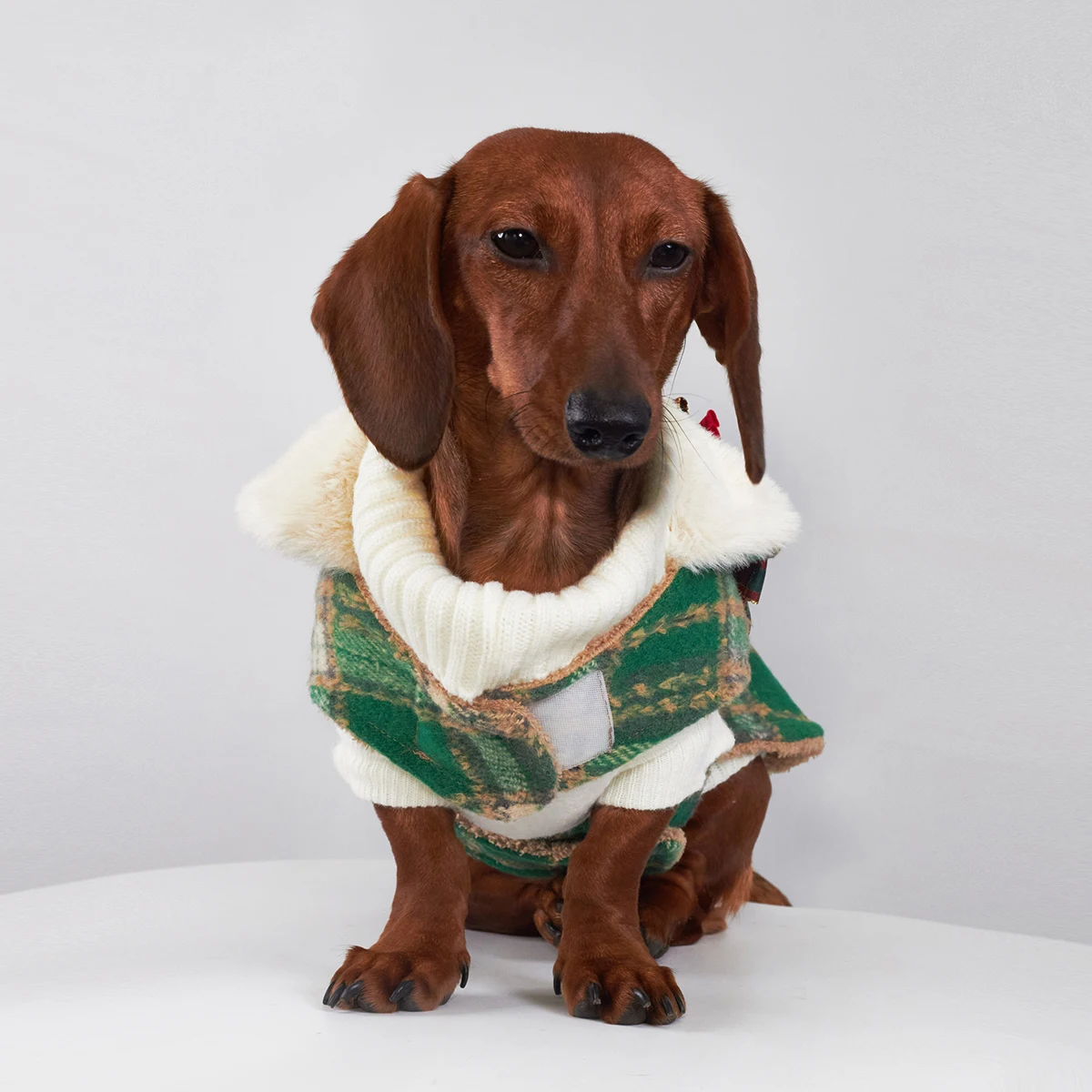 Traje a cuadros rojo y verde de invierno para perros Wiener, chaqueta gruesa de lana para perros tejados, sudadera cálida, abrigo para perros salchicha - imagen 3