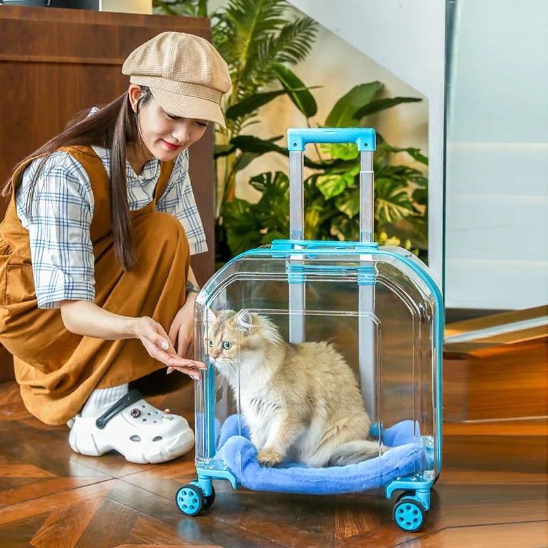 Mochila transparente cápsula espacial con ruedas para perros y gatos - imagen 3