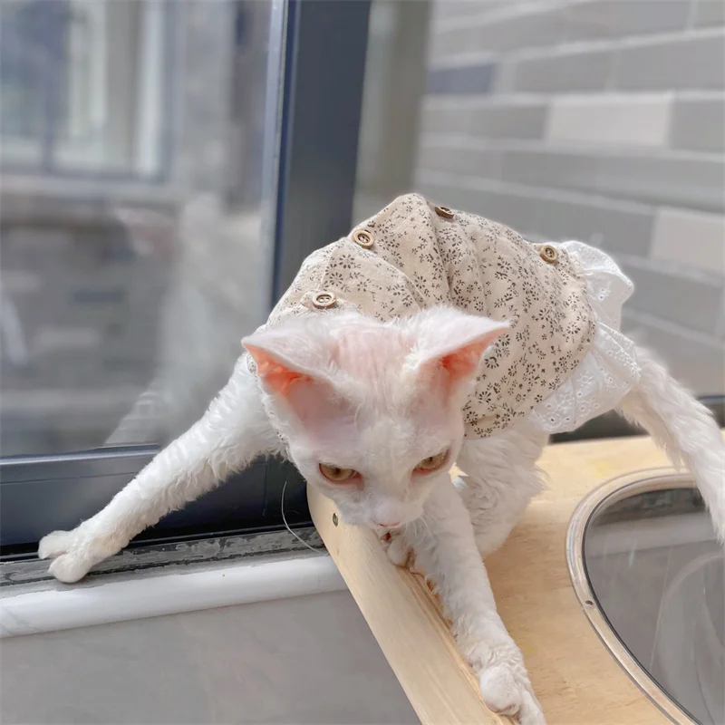 Sphynx Cat Clothes Vestido floral de encaje de algodón para gatitos Chaleco dulce de primavera para mujer Camiseta de cárdigan vintage de gato para Devon Rex - imagen 5