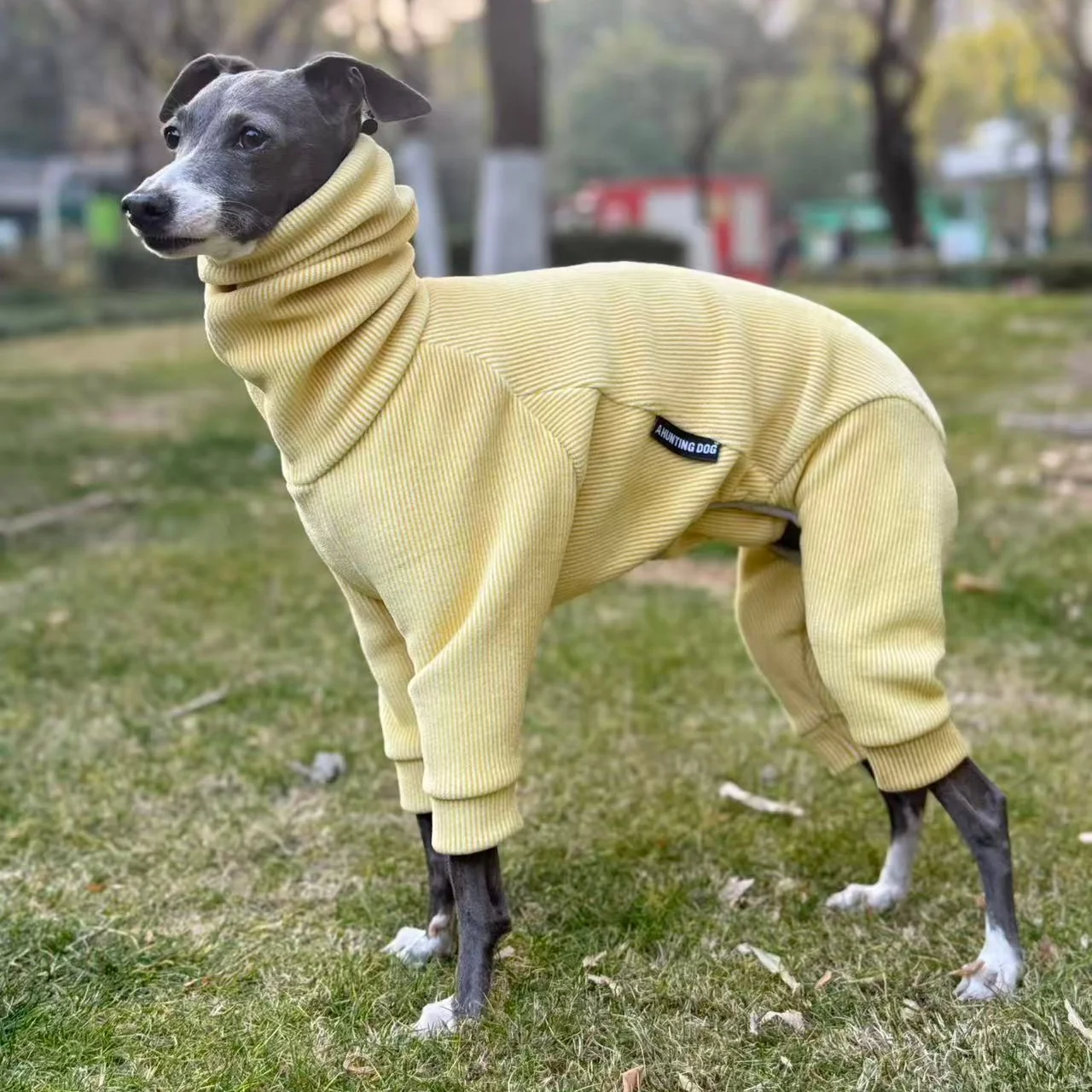 Chaqueta invierno perro forro polar ajustable Galgo Italiano Whippet