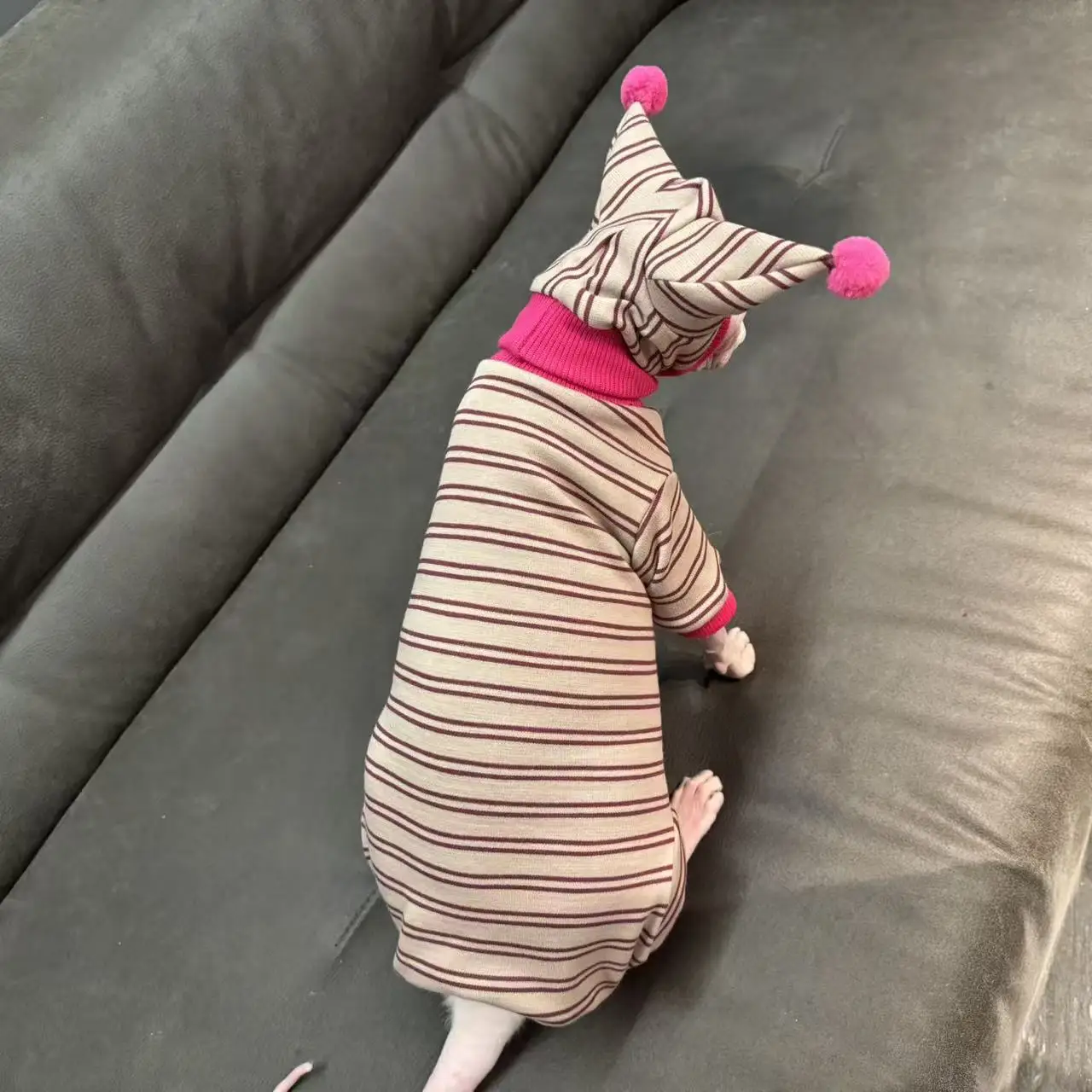 Sudadera de lana a rayas de 4 patas, traje con sombrero para gato Sphynx, abrigo rojo suave y cálido para invierno, disfraz de Año Nuevo para gatitos, Devon Rex - imagen 2