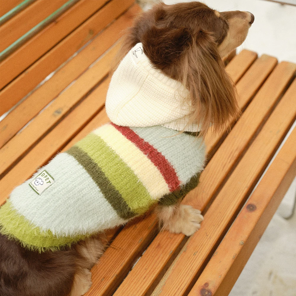 Jersey de punto para Dachshund – Verde manzana con rayas, abrigo suave - imagen 4
