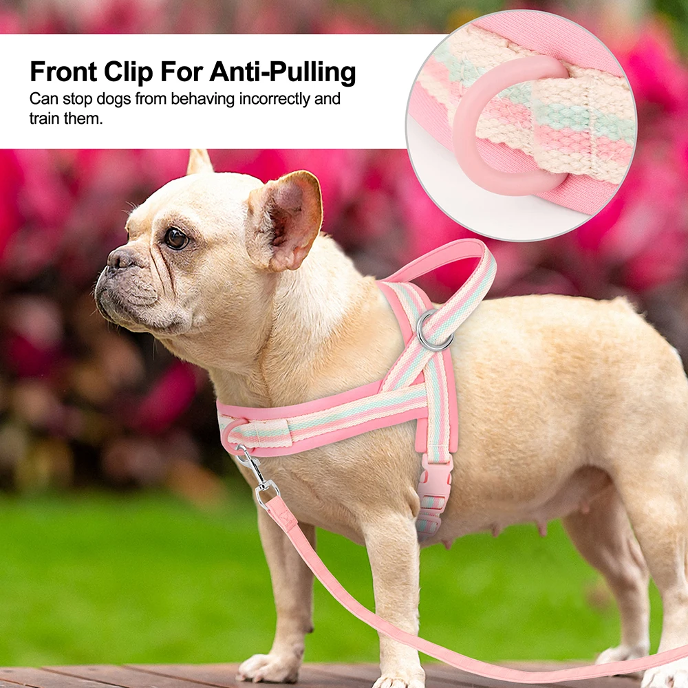 Arnés suave de nailon para perros pequeños y medianos, sin tirones, chaleco acolchado para cachorros, ajustable, para Chihuahua y Pug - imagen 3