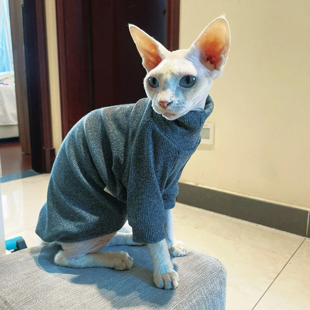 Suéter aislado de cuello alto de punto elástico para gato Sphynx en invierno abrigo gris oscuro suave y cálido para gato sin pelo Devon Rex en otoño