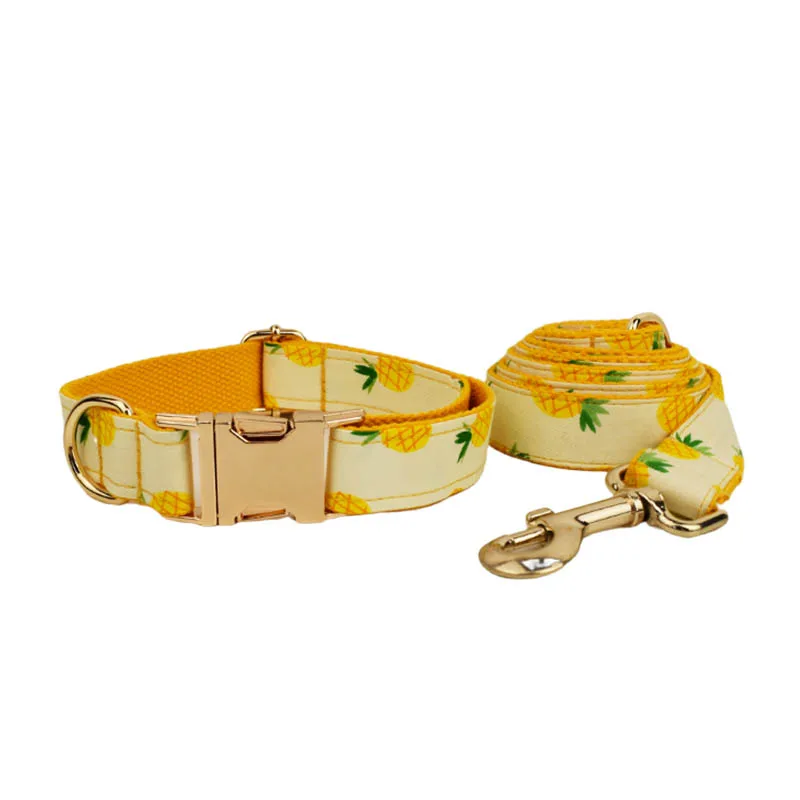 collar and leash set