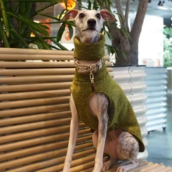 Chaleco verde de cuello alto para perros: Galgo Español, Whippet y Saluki