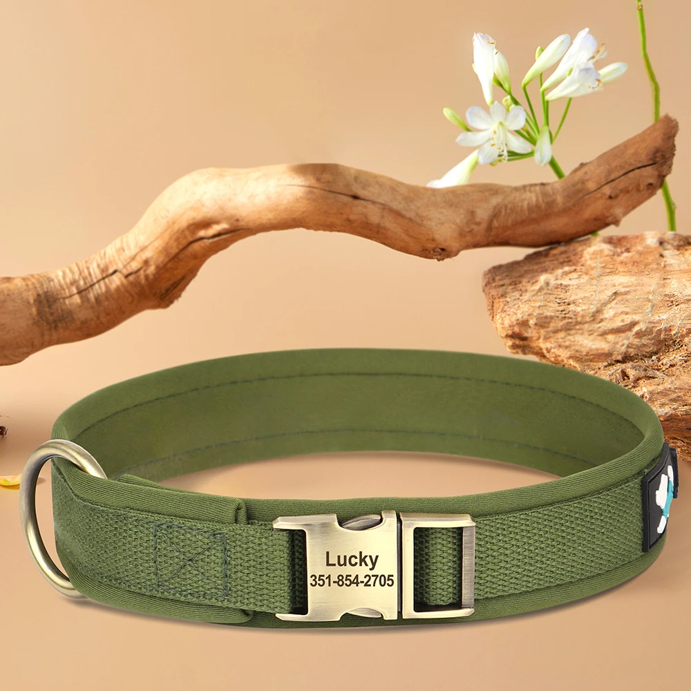 Collar de nailon personalizado para perros, collares con hebilla grabada personalizada para mascotas, collares acolchados suaves para perros pequeños, medianos y grandes, Pitbull - imagen 5