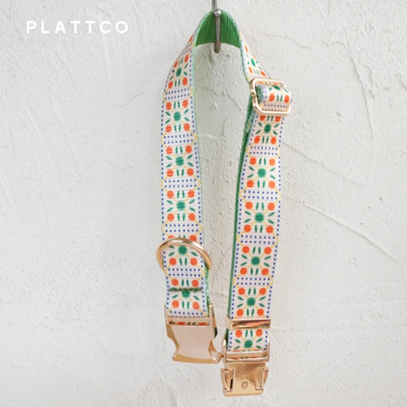 PLATTCO-collar de perro de diseño único, estampado de galletas de frutas, hebilla de aleación de zinc de color claro de alta calidad, 5 tamaños, PDC331G - imagen 2
