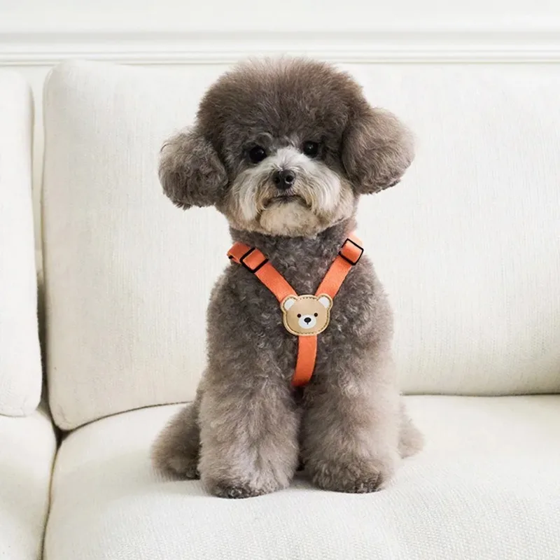 Lindo oso mascota perro arnés correa perro pequeño y mediano para caminar cachorro Bichon Schnauzer perro arnés de pecho conjunto suministros para mascotas - imagen 3