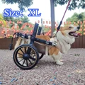 XL