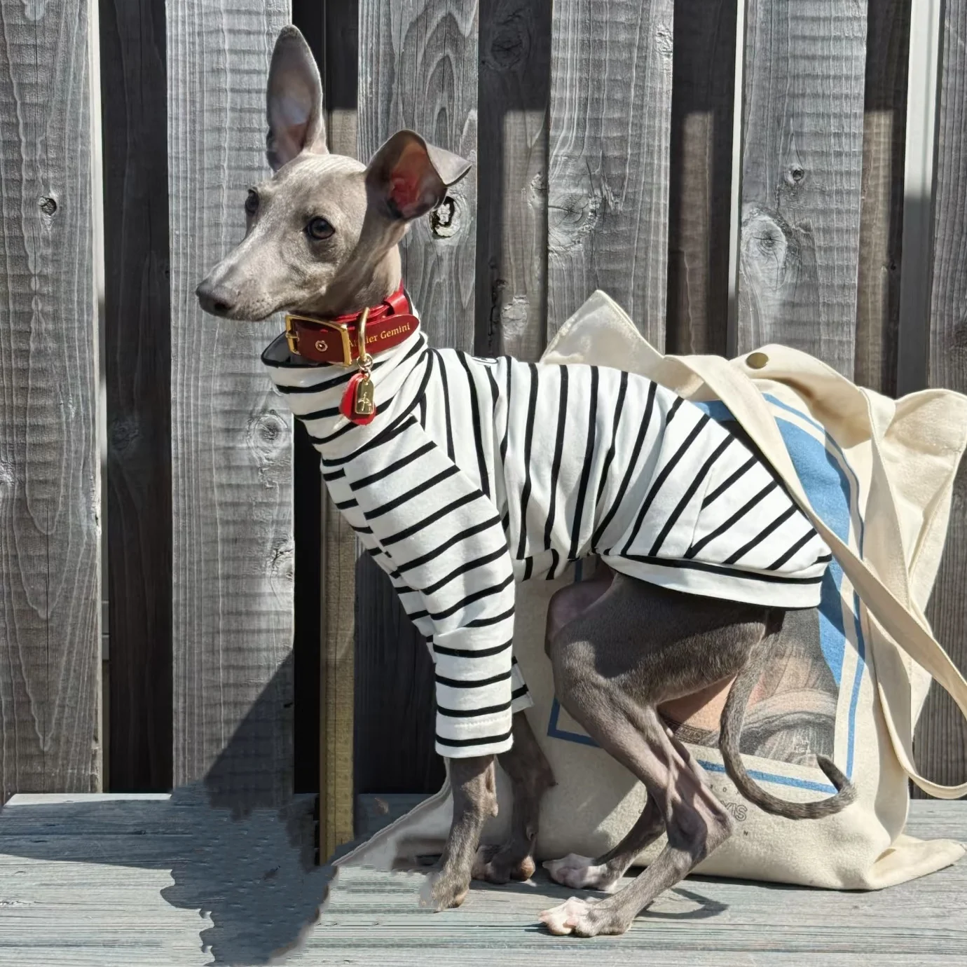 Ropa de algodón a rayas blancas para perros Bedlington, camiseta interior de manga larga para Little Greyhound, ropa de descanso de cuello alto para caniche - imagen 2