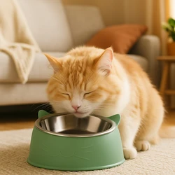 Cuenco inclinado de acero inoxidable para gatitos y cachorros