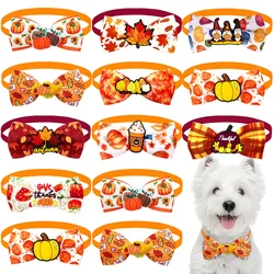 Pajaritas y galeras festivas para perros y gatos – Accesorios decorativos