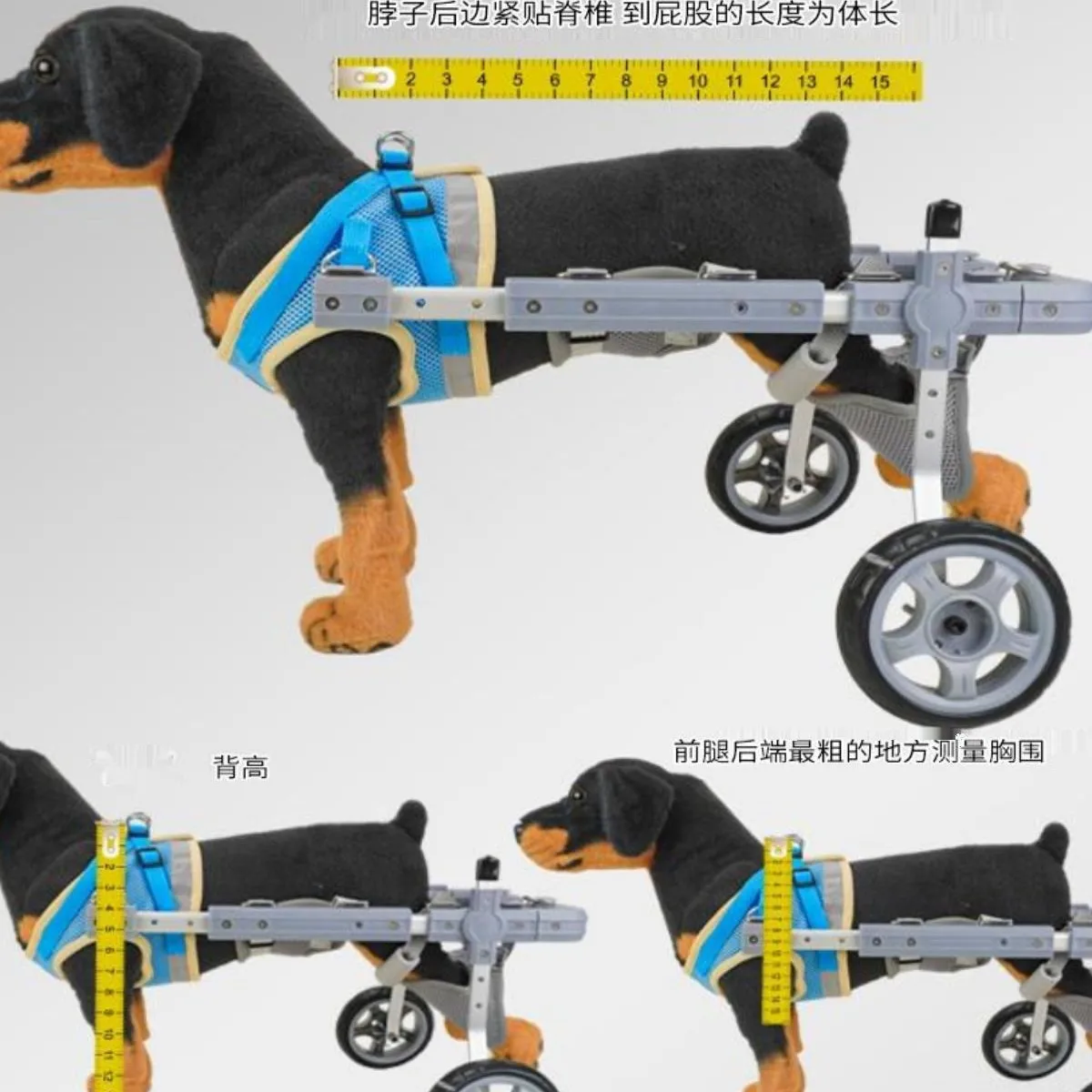 Silla de ruedas ortopédica para perro con movilidad reducida - imagen 5