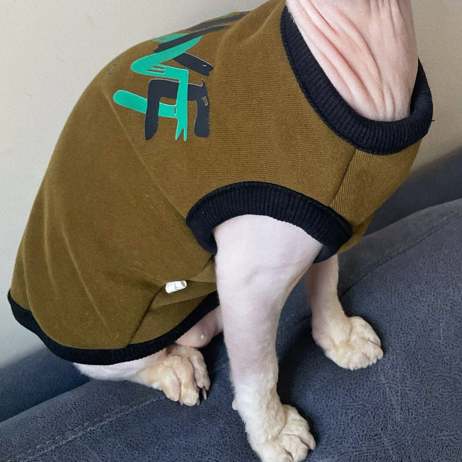 Winter Warm Fleece Sweatshirt for Hairless Cat Autumn Soft Short Sleeved Thick Fashion Vest for Kittens Costumes for Sphynx Cat - imagen 5