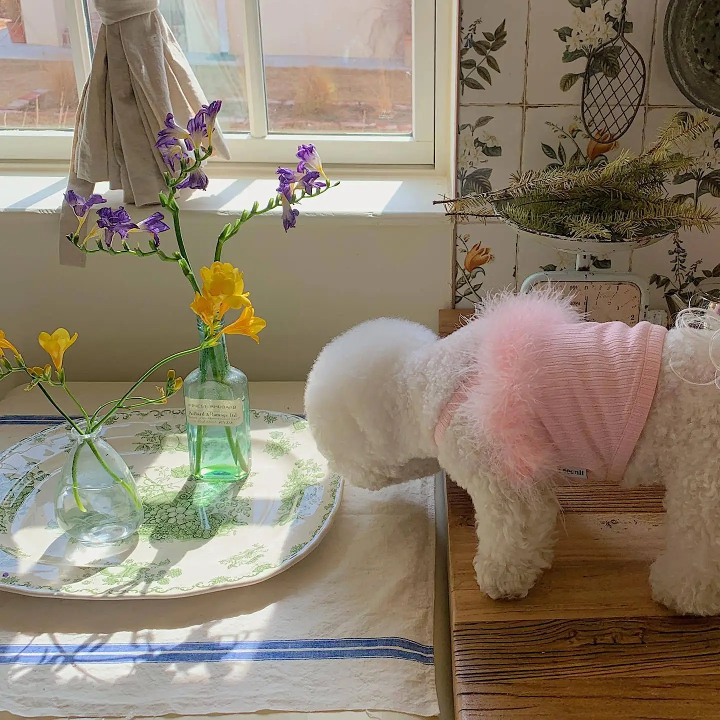 unknown_335590688_755886119303