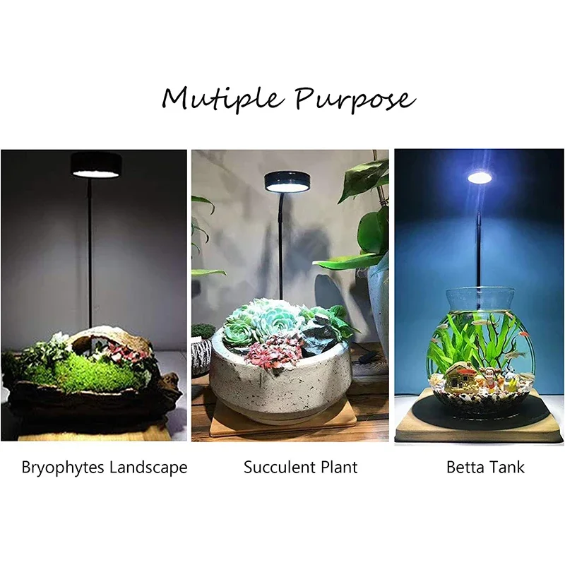 Luz LED Espectro Completo Tablero Bambú Acuario Nano Tanque Betta Pecera Plantas Macetas Suculentas Paisaje Miniatura - imagen 3