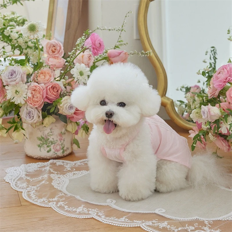Falda rosa con tirantes de encaje para mascotas, ropa para gatos, Teddy Schnauzer, ropa de dormir para el hogar, chaleco de encaje para perros pequeños, ropa para cachorros - imagen 3