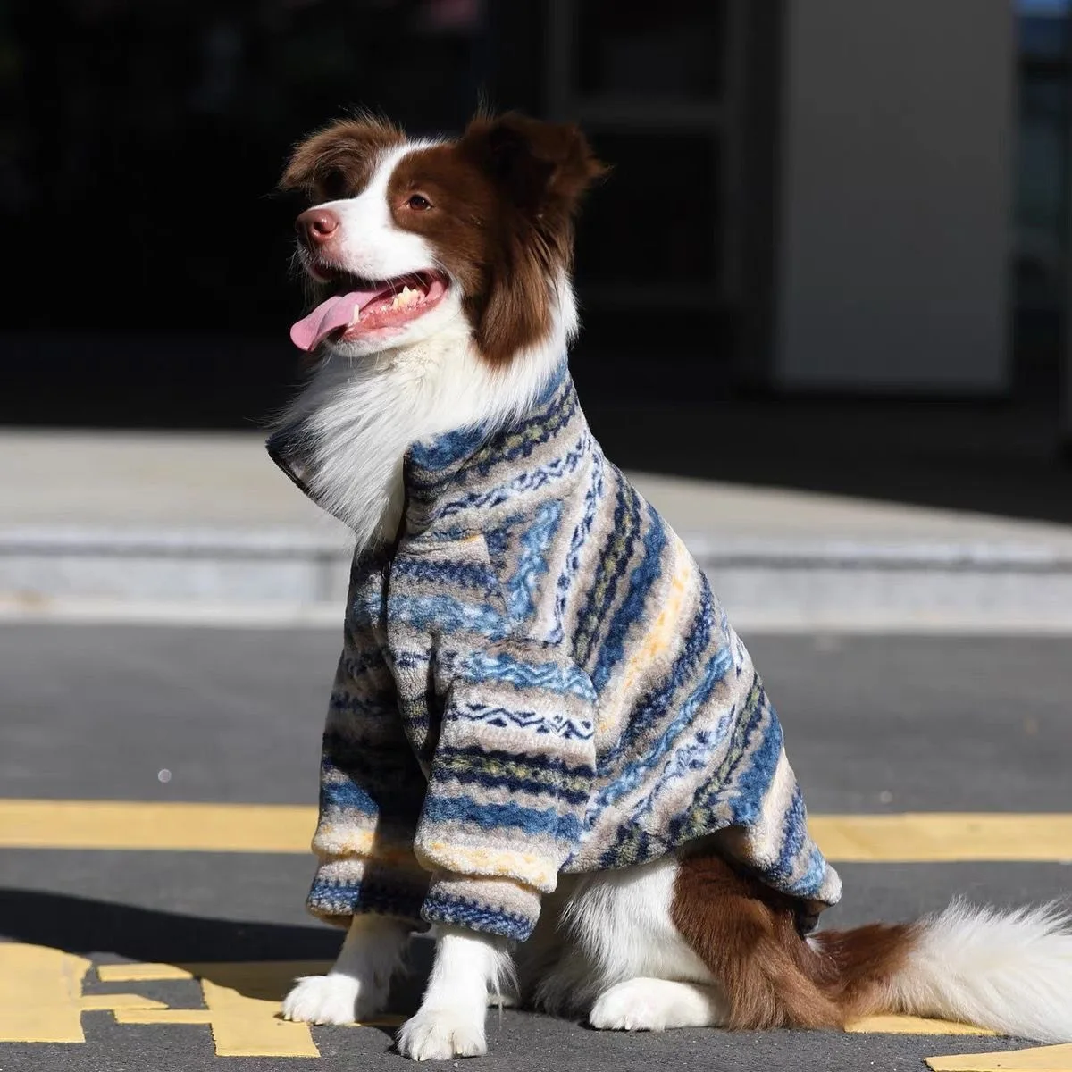 Perro usando el suéter en parque nevado