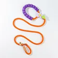 leash purple flower 