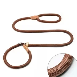 Collar de cuero para perro – Tracción ligera y regulable