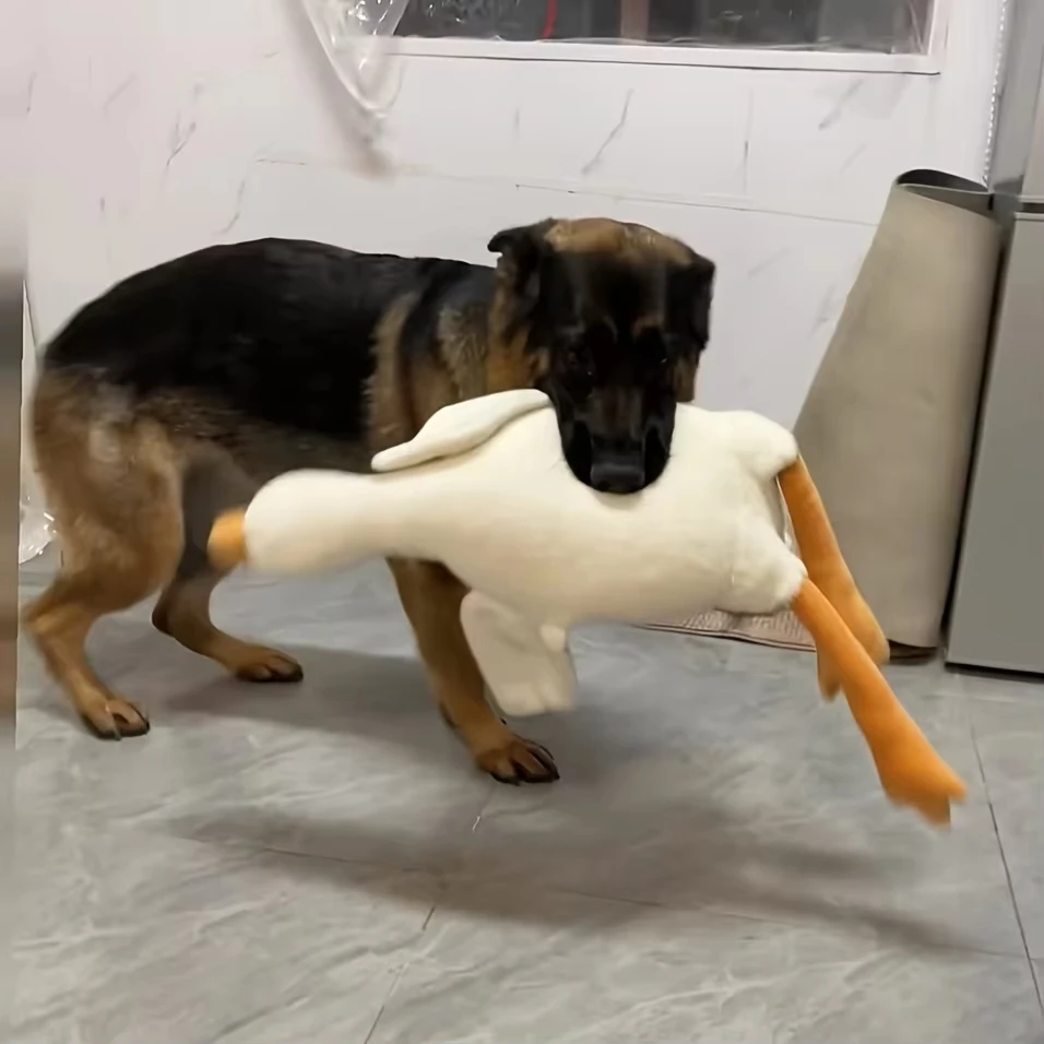 Pato blanco de peluche grande para perros, muñecos realistas con diseño de ganso, adecuados para masticar y jugar, las mejores suministros para mascotas - imagen 5