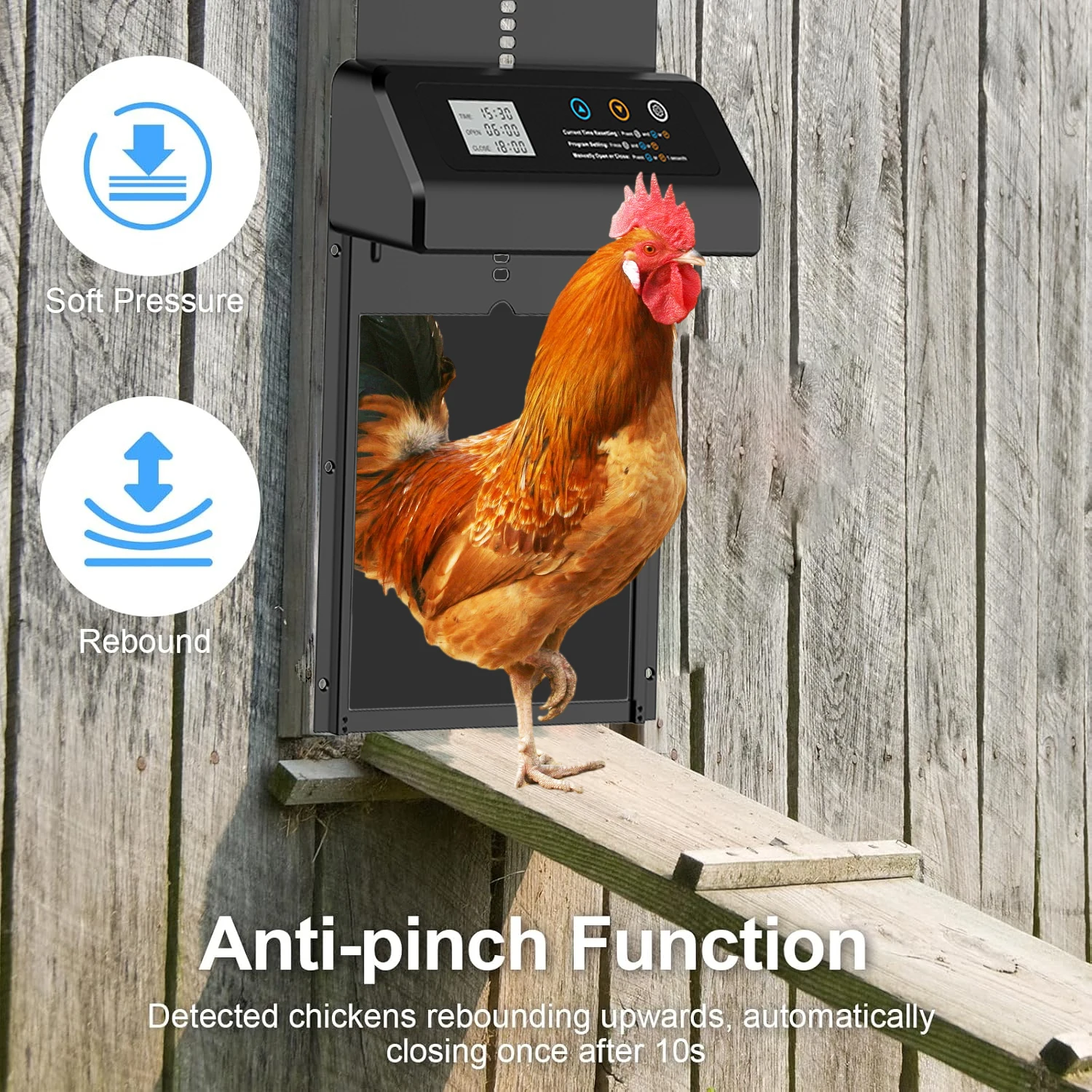 Puerta automática para gallinero con temporizador – Antipellizco