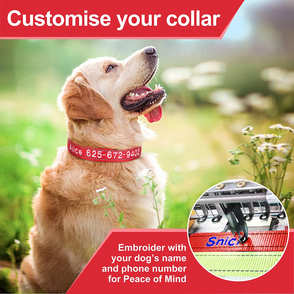 Collar de nailon bordado para perro, collares personalizados para cachorros y gatos, collares reflectantes para identificación de mascotas, identificación de nombre de teléfono DIY para perros pequeños y grandes - imagen 5