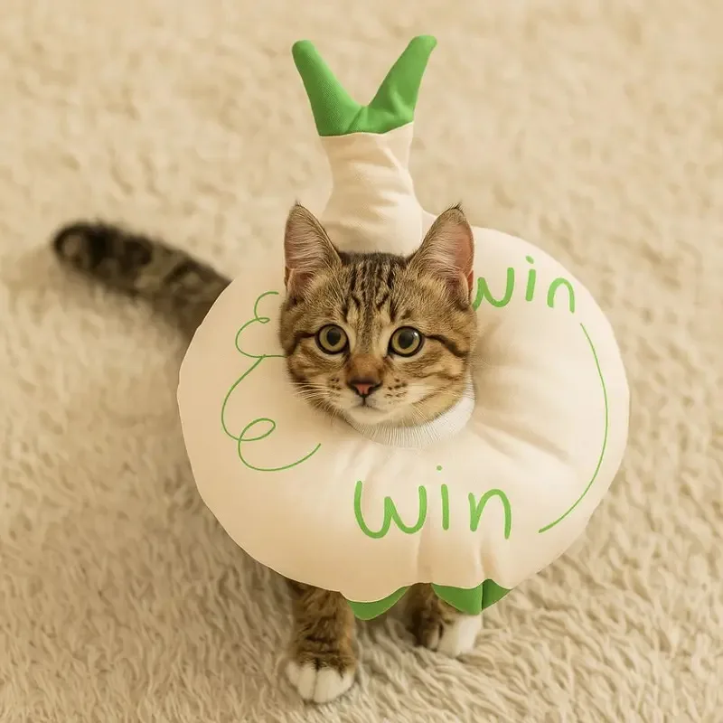 Círculo Elizabeth de gato con estampado de frutas de dibujos animados, cono protector ajustable, suave y transpirable para mascotas, cómodo Collar antipérdida para C - imagen 3