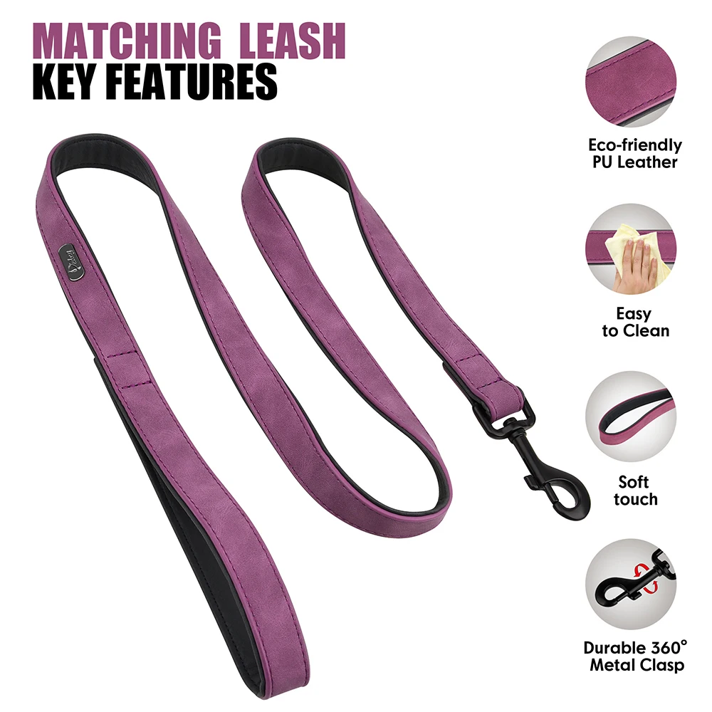 Purple Leash