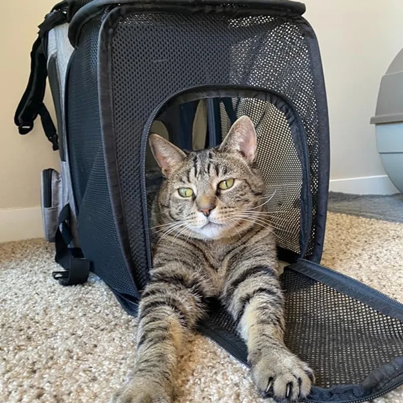 Mochila De Transporte para mascotas, bolsa plegable de malla transpirable para gatos y perros de menos de 18 LB - imagen 4