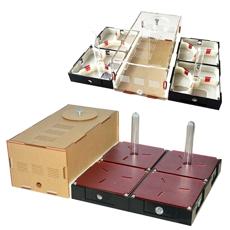 Nido de hormigas acrílico de granja de hormigas de expansión ilimitada con área de alimentación, taller de antill de yeso para mascotas, casa de hormigas, torre de agua hidratante - imagen 4