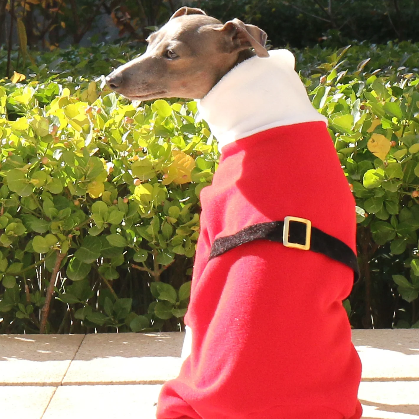 Disfraces navideños para perros Sudadera polar roja de cuatro patas para galgo italiano en invierno Traje cálido de Año Nuevo para Whippet - imagen 5