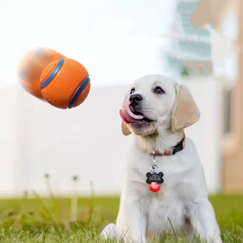Pelota de goma hinchable para perros – Resistente a masticar y perfecta para lanzar - imagen 5