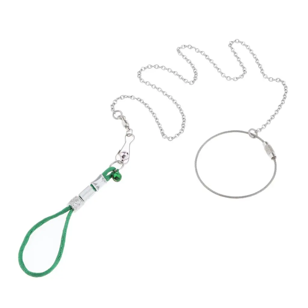 2 Pieces Stainless Steel Bird Supplies Parrot Neck Rope + Foot Chain, Conducive